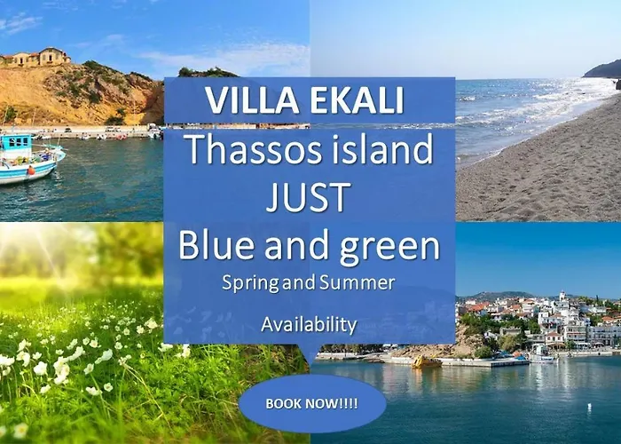 公寓 Ekali 利迈纳里亚